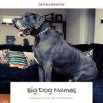 Big Dog Names