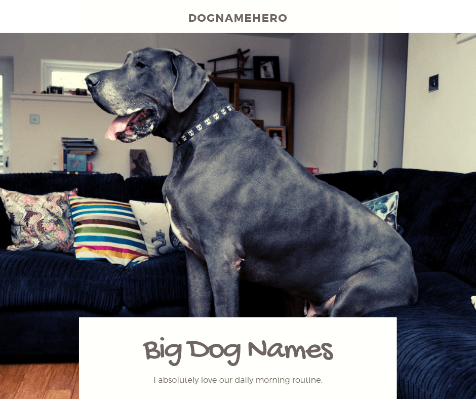 dog names for big dogs