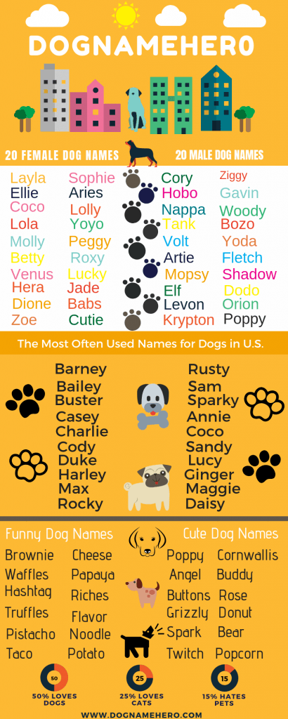 unusual girl dog names