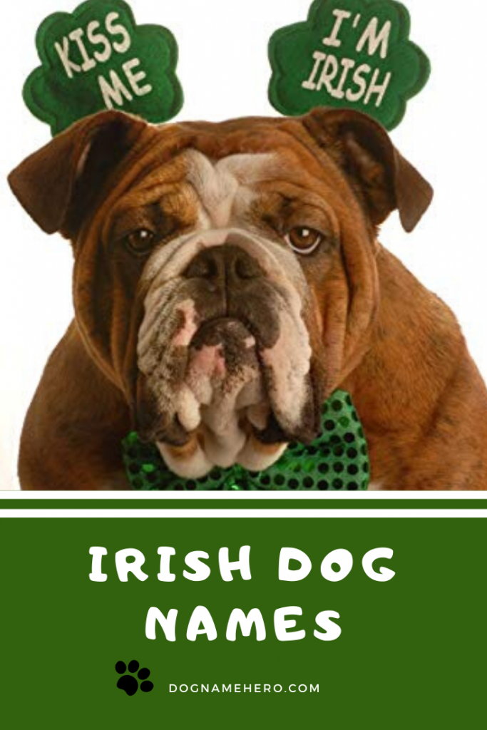 Irish Dog Names