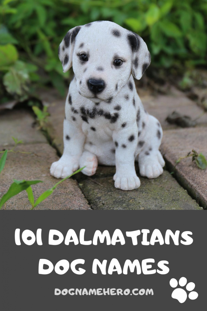 101 Dalmatian Dog Names