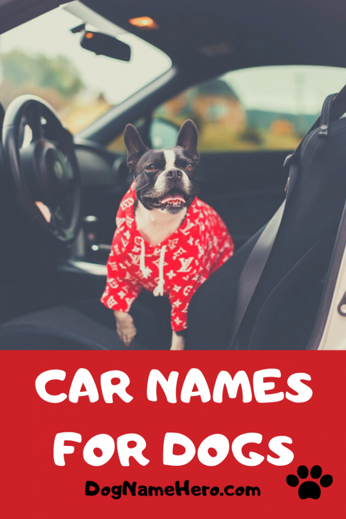 255 Car Names For Dogs Mechanical Car Related Dog Names