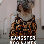 Gangster Dog Names
