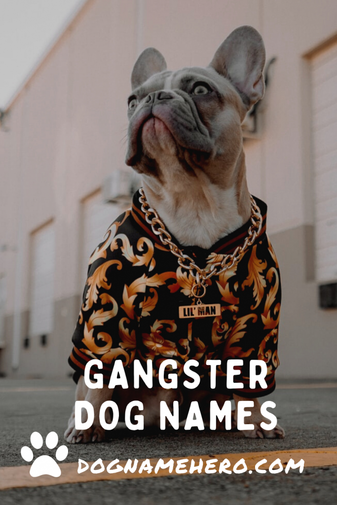 Gangster Dog Names