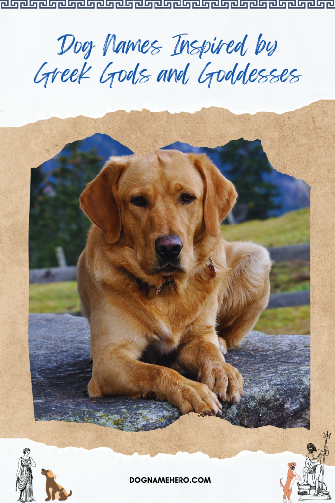 Dog Names Inspired by Greek Gods and Goddesses