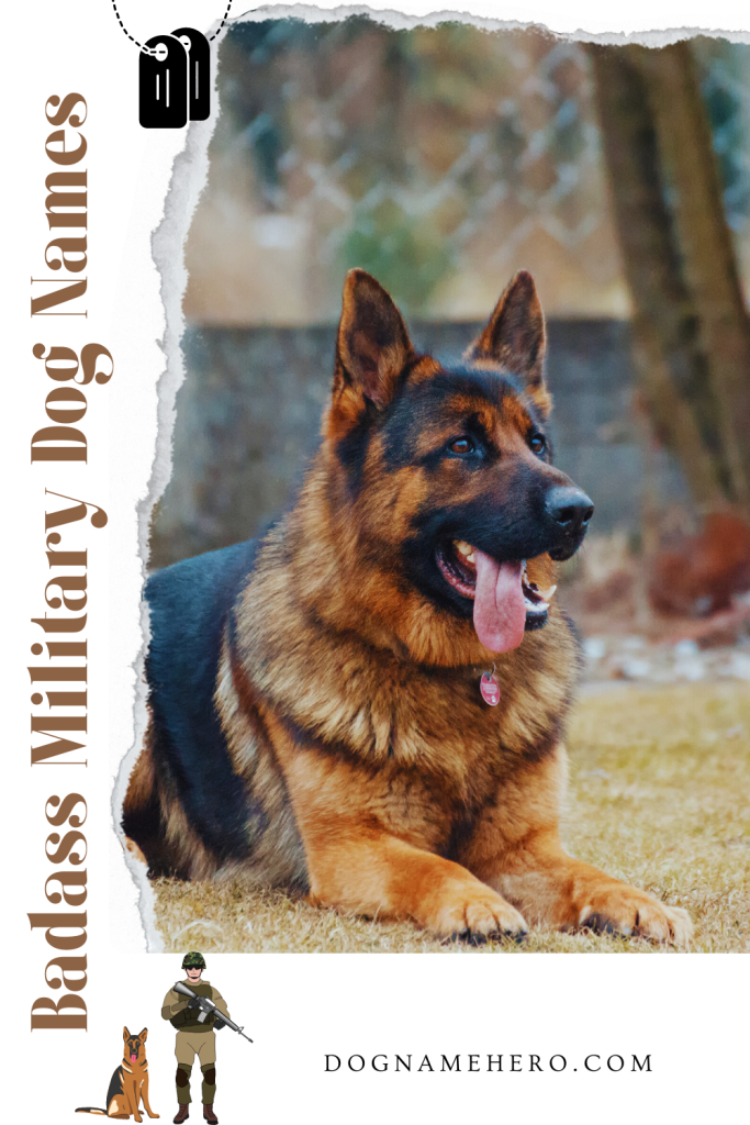 Badass Military Dog Names