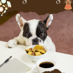 Candy Names for Dogs