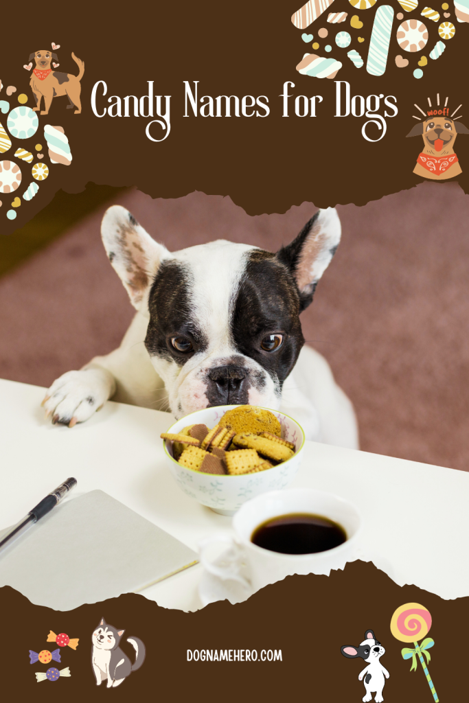 Candy Names for Dogs