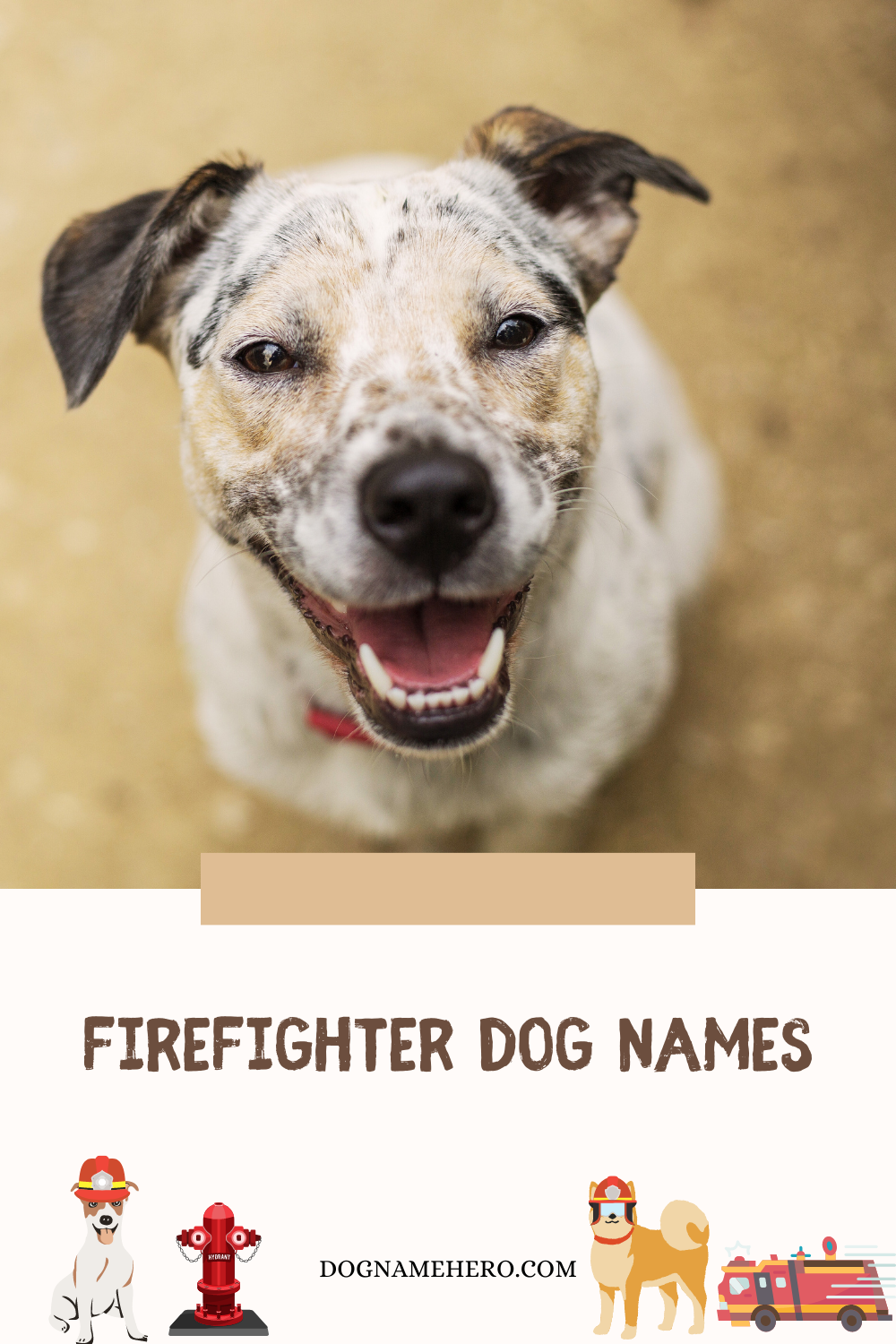 Firefighter Dog Names