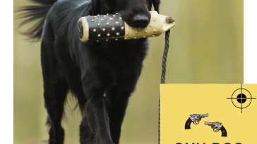 Gun Dog Names
