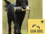 Gun Dog Names