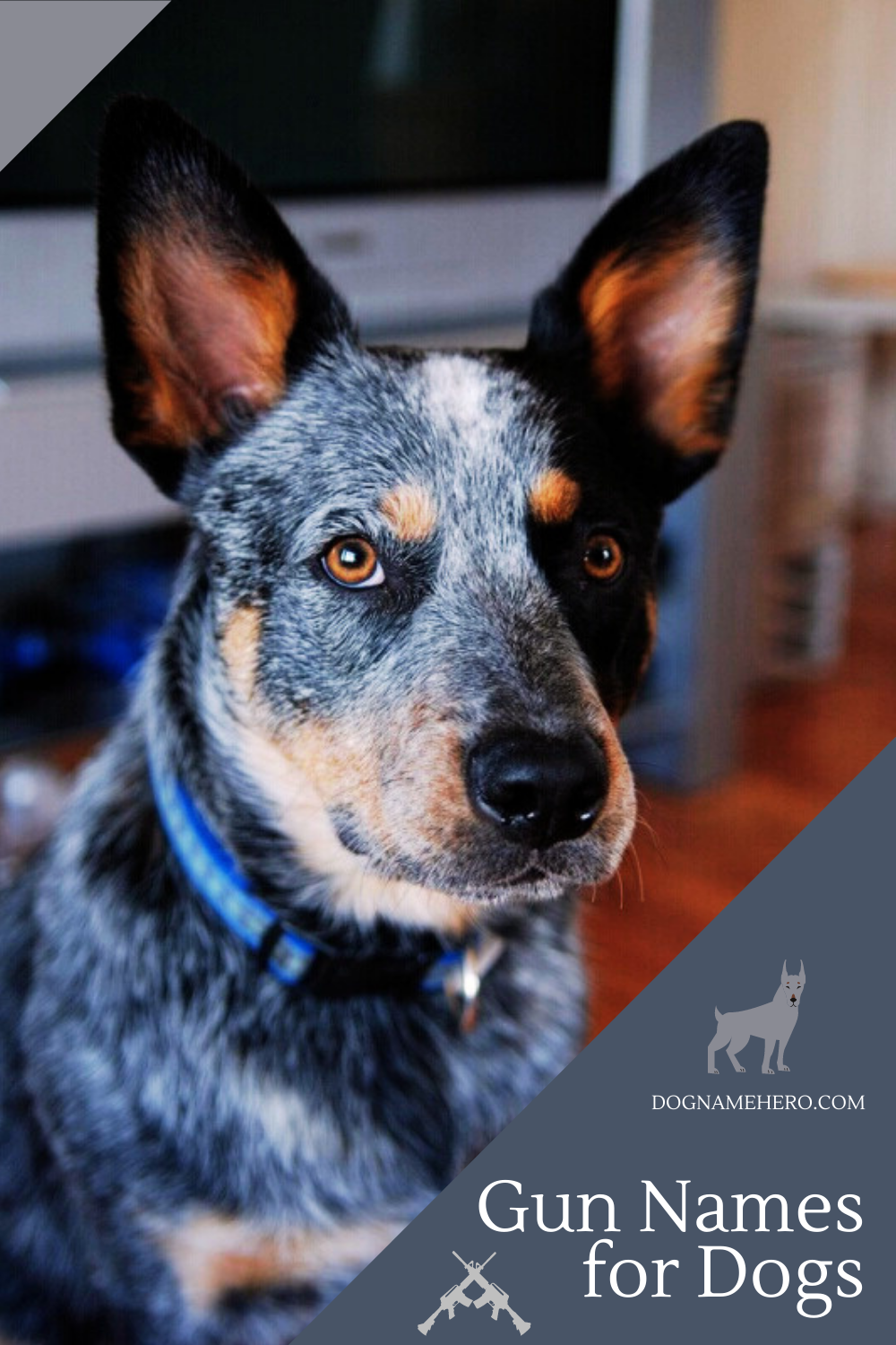 Gun Names for Dogs